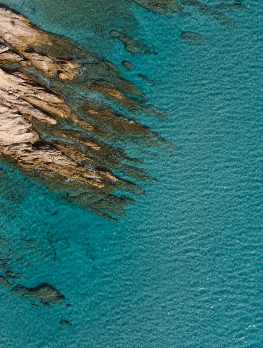 MBV portrait image